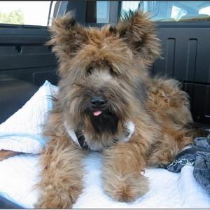 Meet your Posher, Penelope